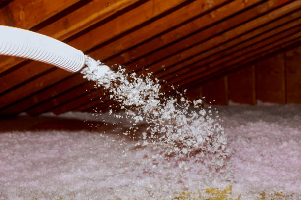 Best DIY Insulation Kits and Guidance in Picnic Point, WA