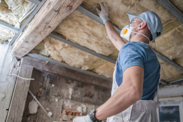 Best Eco-Friendly Insulation in Picnic Point, WA