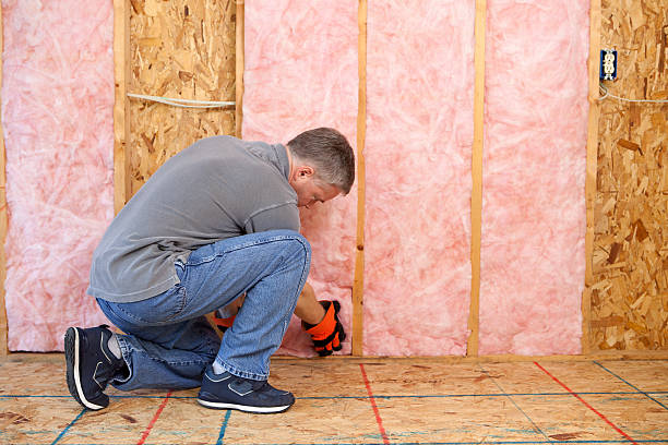 Best Energy Efficiency Insulation in Picnic Point, WA