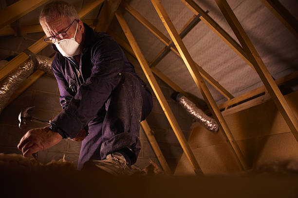 Best Spray Foam Insulation in Picnic Point, WA